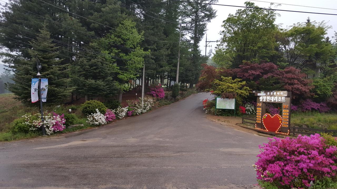Pyeongchang Iris Pension Luaran gambar