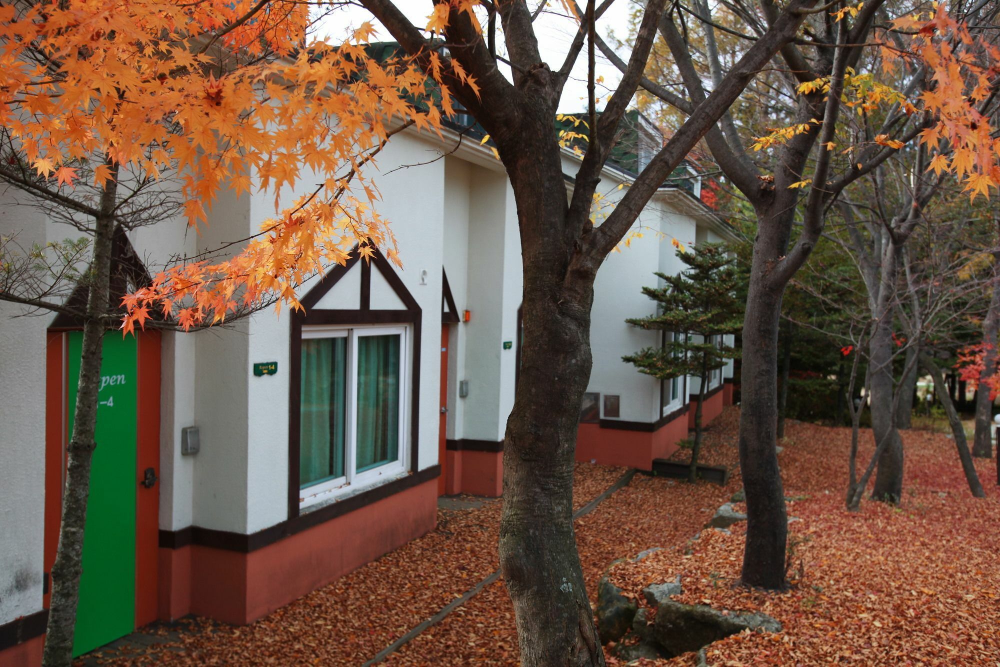 Pyeongchang Iris Pension Luaran gambar